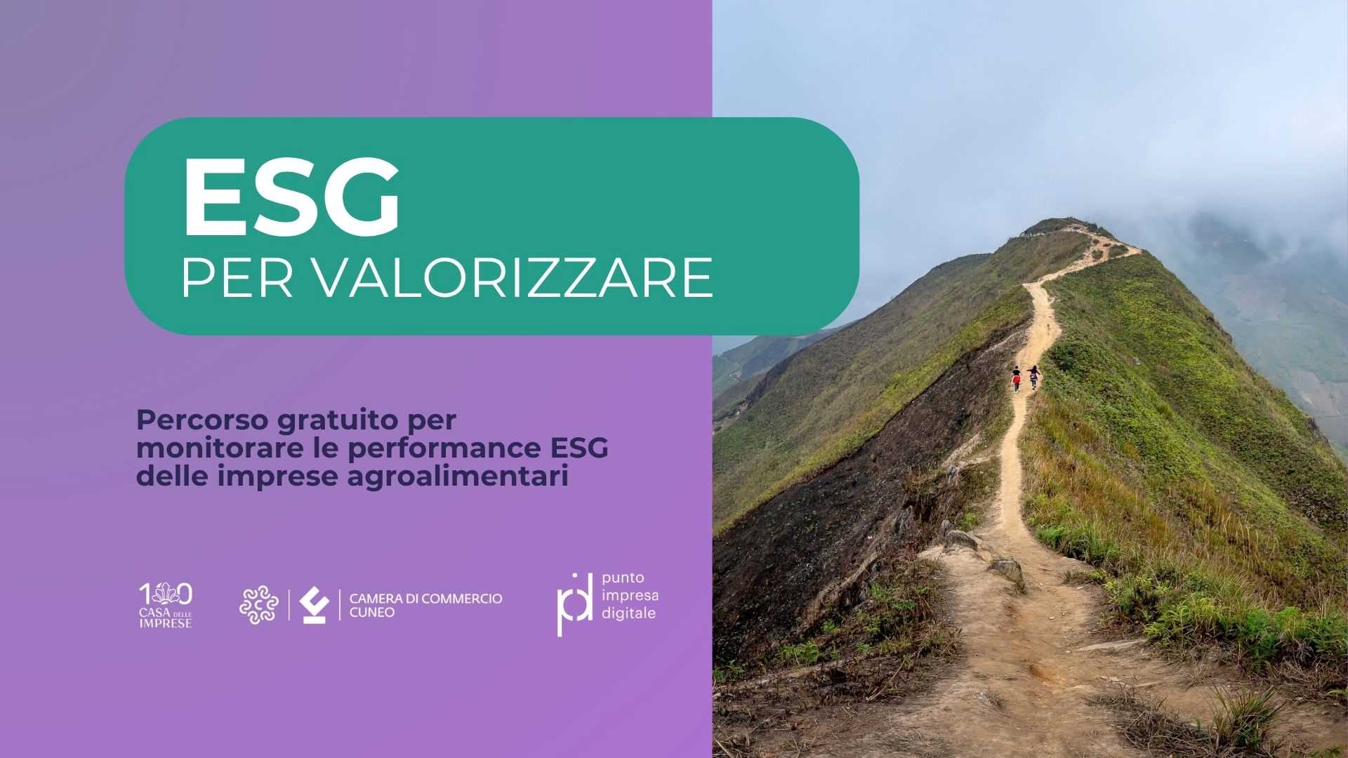 ESG PER VALORIZZARE: un percorso gratuito per misurare e migliorare la sostenibilità della tua impresa